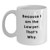 Funny Lawyer Quote White Coffee Mugs for Birthday Unique Gifts from Friends, Best Lawyer Gifts for Him, Unique Office Decorations for Men and Women - Main